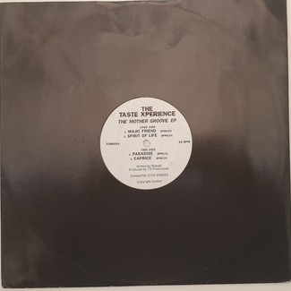 The Mother Groove EP by The Taste Xperience