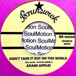 Don’t Take It Out On This World by Adams Apples