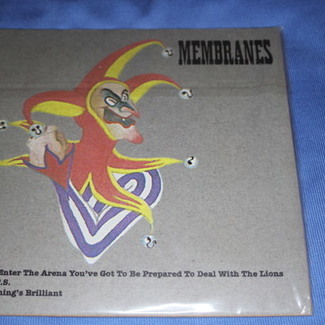 IF YOU ENTER THE ARENA YOU'VE GOT TO BE PREPARED TO DEAL WITH THE LIONS by The Membranes