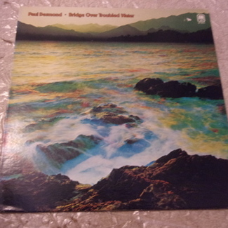 BRIDGE OVER TROUBLED WATER by Paula Desmond