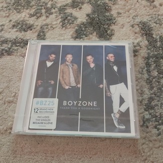 Thank you & Goodnight by Boyzone