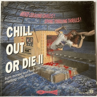 Chill out or die 2 by Various ‎