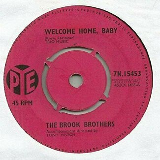 Welcome Home, Baby by The Brook Brothers