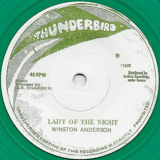 Lady Of The Night by Winston Anderson