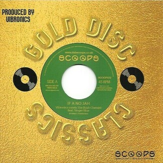 If A No Jah by Vibronics Meets The Bush Chemists Feat. Singer Blue