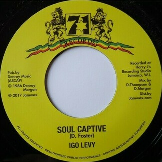 Soul Captive by Igo Levy