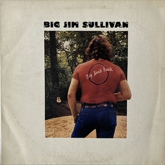 Big Jim's Back by Big Jim Sullivan
