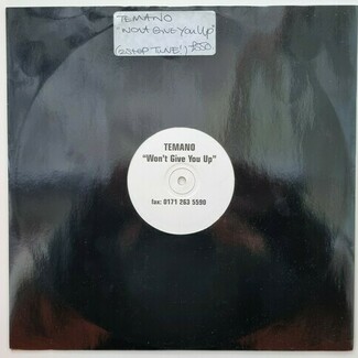 Wont Give You Up by Temano