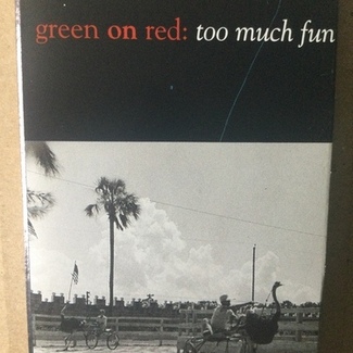 Too Much Fun by Green On Red