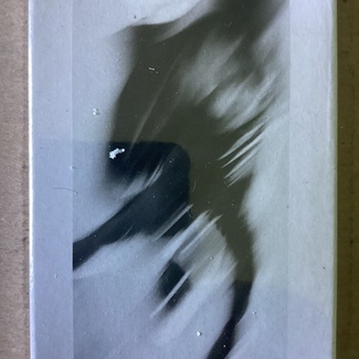 Collections From The Whiteout by Ben Howard