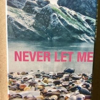 Never Let Me Go by Placebo