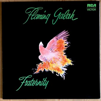 Flaming Galah by Fraternity