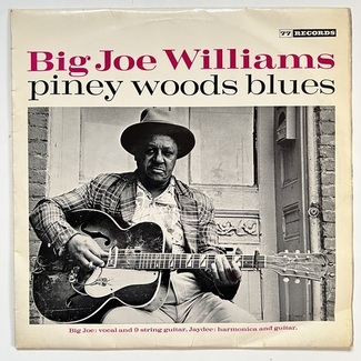Piney Woods Blues by Big Joe Williams