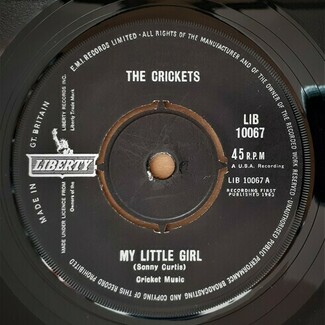 My Little Girl by The Crickets