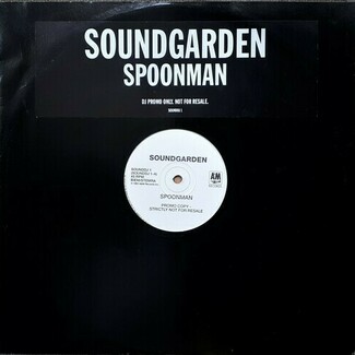 Spoonman by Soundgarden