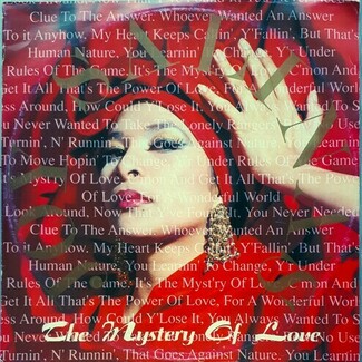 The Mystery Of Love by Joy Salinas