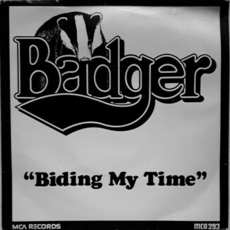 Biding My Time by Badger