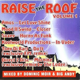 Raise The Roof - Volume 1 by Various