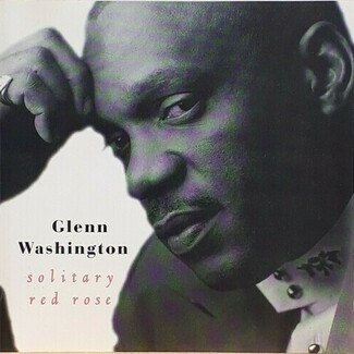 Solitary Red Rose by Glenn Washington