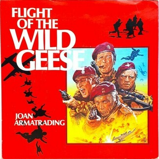 Flight Of The Wild Geese by Joan Armatrading