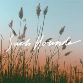 I Hate Summer by Such Hounds