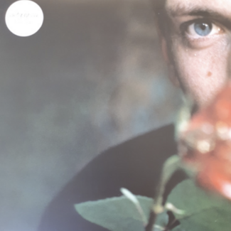 Don't Delete The Kisses by Wolf Alice