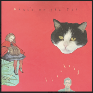 What's On The Tv by Blackaby