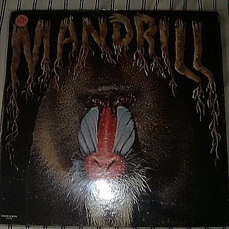 Mandrill by Mandrill