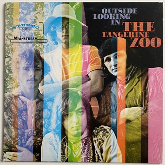 Outside Looking In by Tangerine Zoo