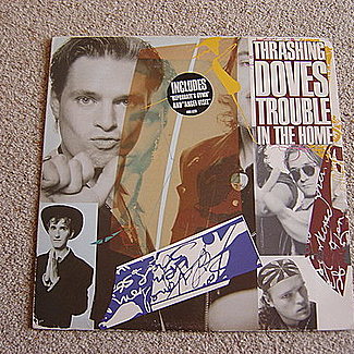 Trouble In The Home by The Thrashing Doves