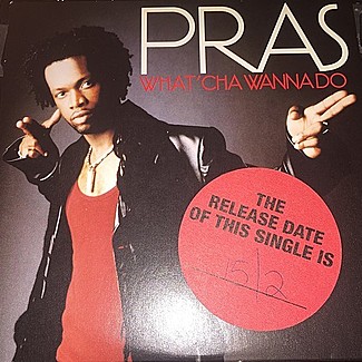 What'cha Wanna Do by Pras Michel