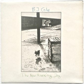 The New Hovering Dog by B.J. Cole