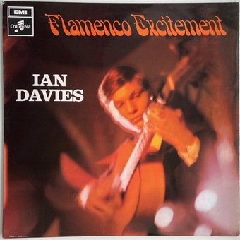 Flamenco Excitement by Ian Davies